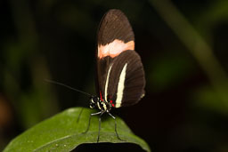 20260418-0039.jpg