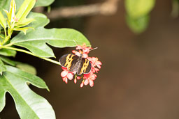 20260418-0077.jpg