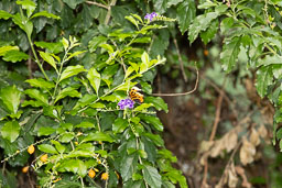20260418-0088.jpg