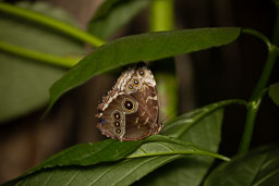 20260418-0098.jpg