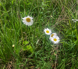 20180612_29811.jpg