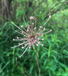 20180612_29814.jpg