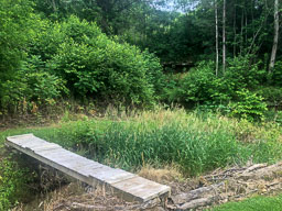 20180612_29815.jpg