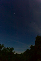 20220609_29674.jpg