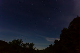 20220609_29678.jpg
