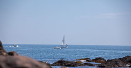 20130816_0880.jpg