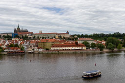 20190608_22717.jpg