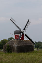 20190610_23036.jpg