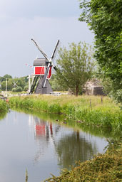 20190610_23083.jpg