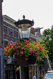 20190611_23330.jpg