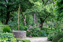 20190613_23597.jpg