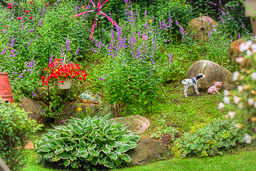 20190718_24780-Edit.jpg