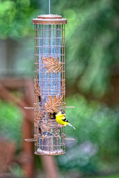 20190718_24806-Edit.jpg