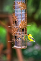 20190718_24817-Edit.jpg