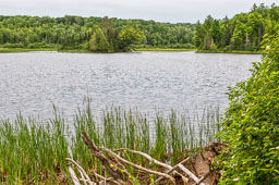 20190720_25225.jpg