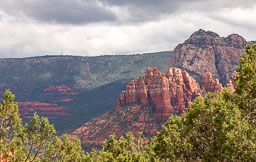 R6II8237.jpg