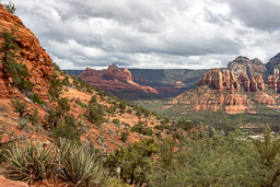 R6II8247.jpg