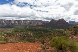 R6II8250.jpg