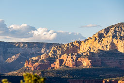 R6II8316.jpg