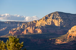 R6II8318.jpg