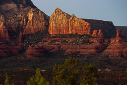 R6II8392.jpg
