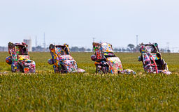 R6II8544.jpg