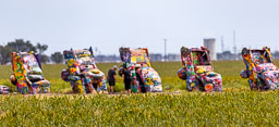 R6II8545.jpg