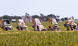R6II8546.jpg