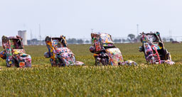 R6II8547.jpg