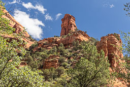 R6II8282.jpg