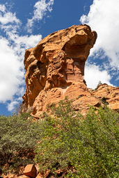 R6II8288.jpg