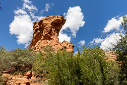 R6II8289.jpg