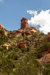R6II8295.jpg
