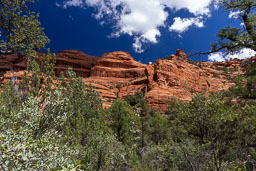 R6II8298.jpg