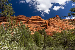 R6II8299.jpg