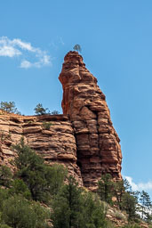 R6II8300.jpg