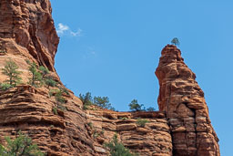 R6II8302.jpg