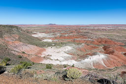 R6II8426.jpg