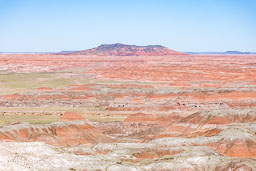 R6II8430.jpg