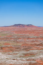 R6II8432.jpg