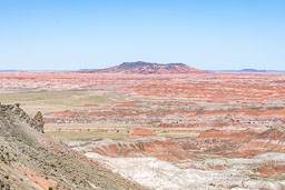 R6II8445.jpg