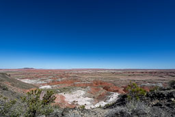 R6II8450.jpg
