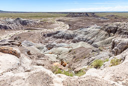 R6II8474.jpg