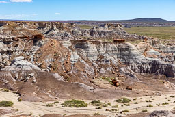R6II8476.jpg