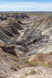 R6II8483.jpg