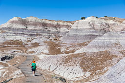 Metor City and Petrified Forest 
 Hero