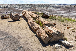 R6II8533.jpg