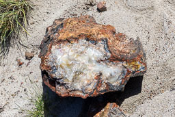 R6II8535.jpg