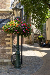 20250818-0053.jpg