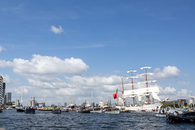 20250820-0294.jpg